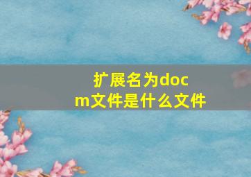 扩展名为doc m文件是什么文件